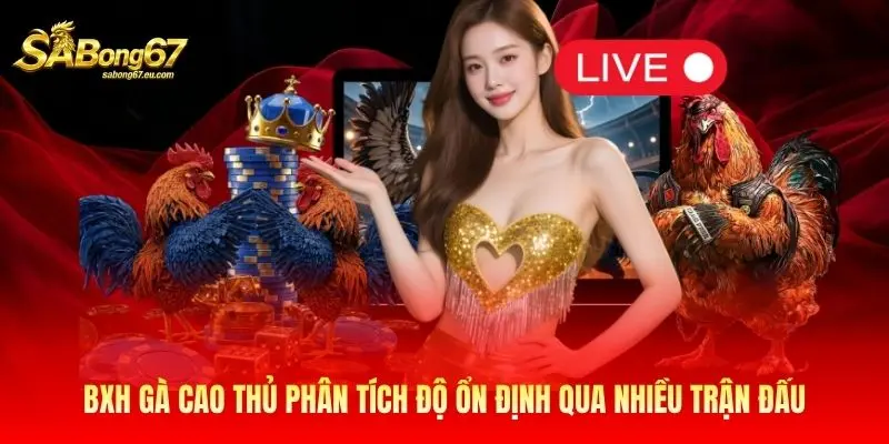 BXH gà cao thủ phân tích độ ổn định qua nhiều trận đấu BXH gà cao thủ phân tích độ ổn định qua nhiều trận đấu