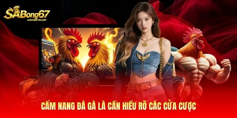 Cẩm nang đá gà là cần hiểu rõ các cửa cược