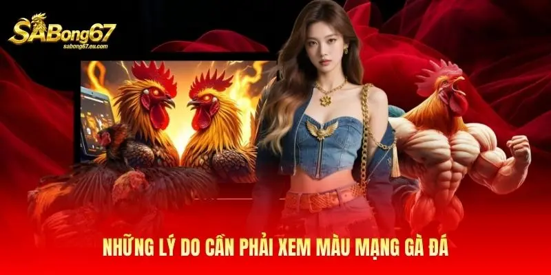 Những lý do cần phải xem màu mạng gà đá
