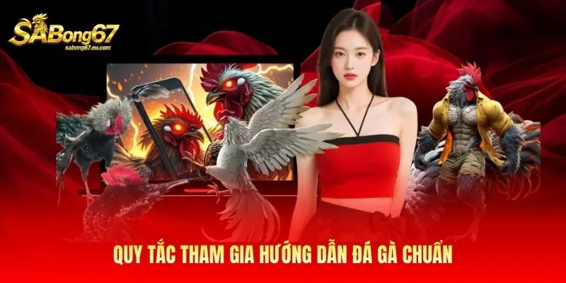 Quy tắc tham gia hướng dẫn đá gà chuẩn
