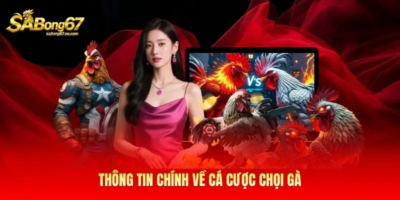 Thông tin chính về cá cược chọi gà