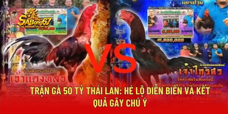 Trận Gà 50 Tỷ Thái Lan: Hé Lộ Diễn Biến Và Kết Quả Gây Chú Ý